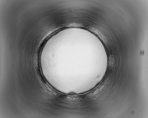 X0000098080351200805021027