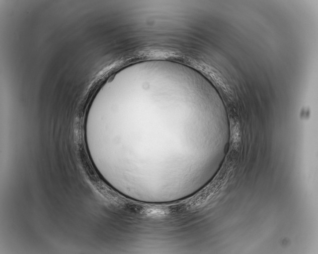X0000098080352200805021027