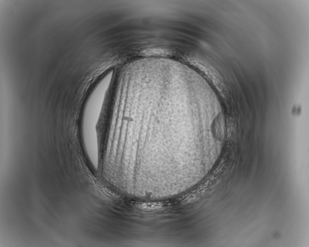 X0000098080353200805021027