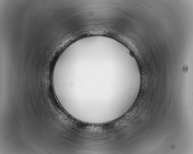 X0000098080354200805021027