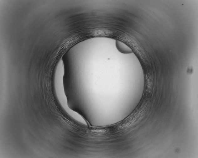 X0000098080357200805021027
