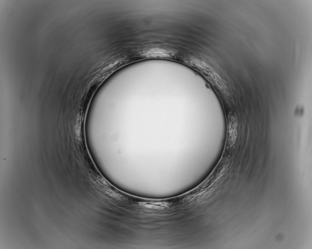 X0000098080359200805021027