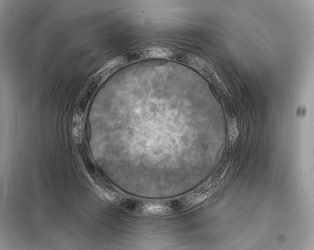 X0000098080360200805021027