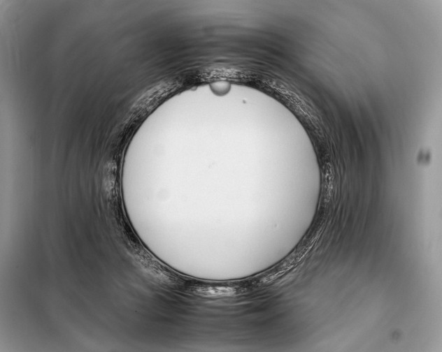 X0000098080361200805021027