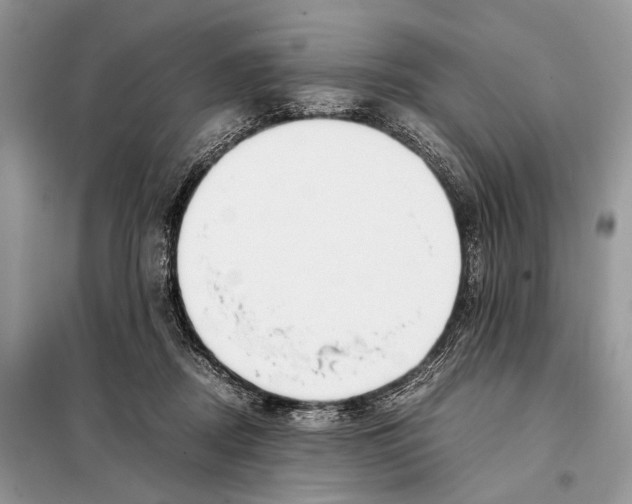 X0000098080362200805021027