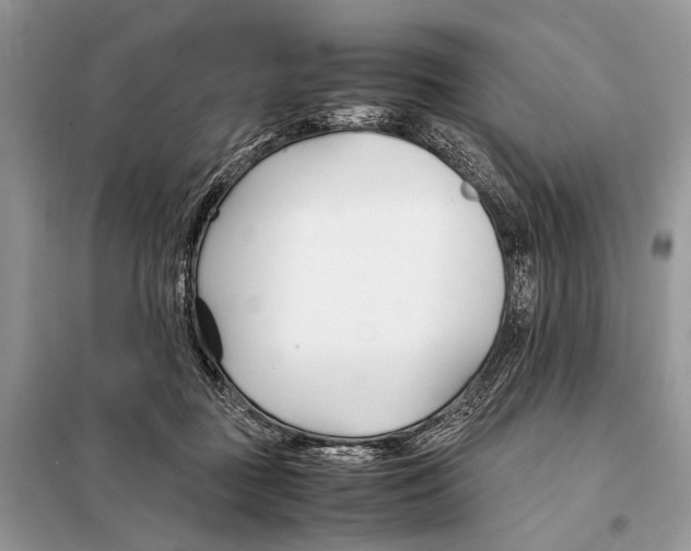 X0000098080363200805021027