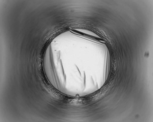 X0000098080366200805021027