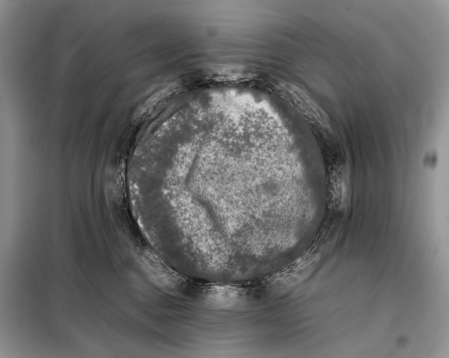 X0000098080376200805021027