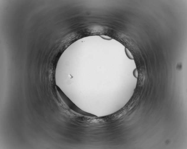 X0000098080379200805021027