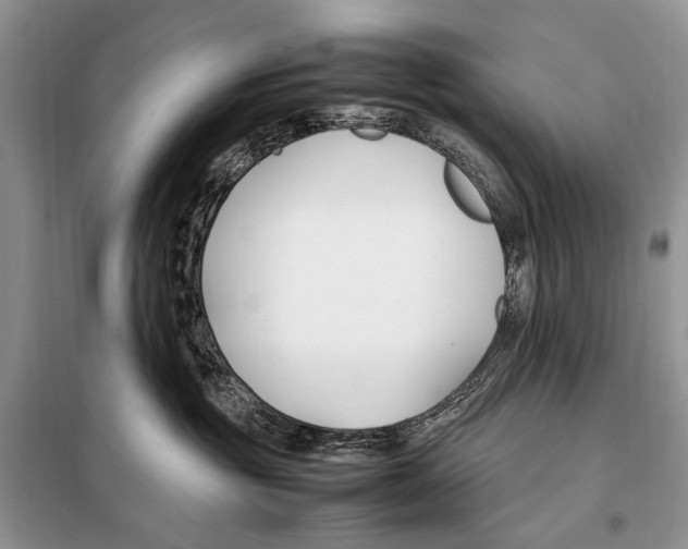 X0000098080381200805021027