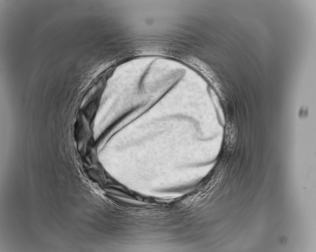 X0000098080385200805021027