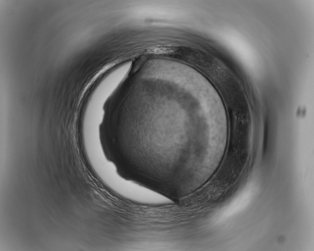 X0000098080387200805021027