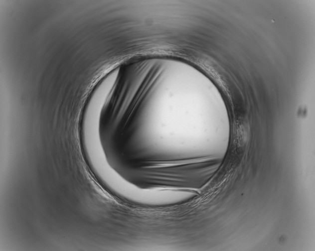X0000098080389200805021027