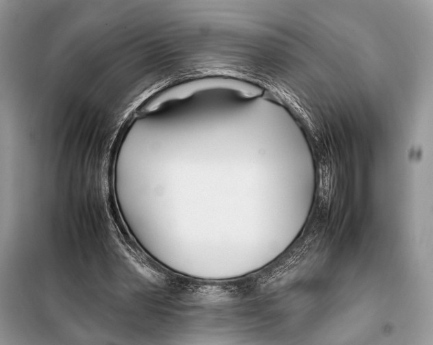 X0000098080390200805021027