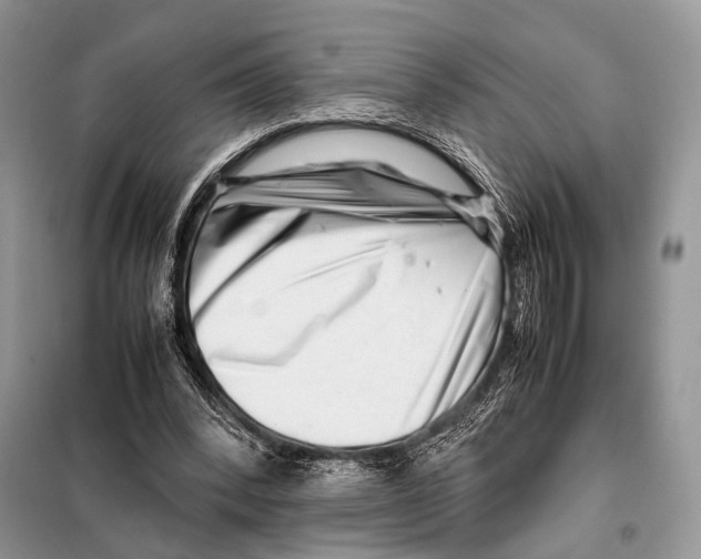 X0000098080392200805021026