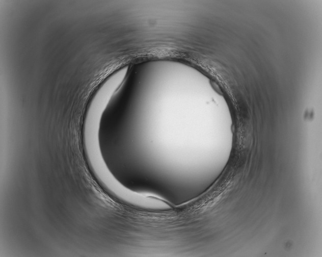 X0000098080393200805021026