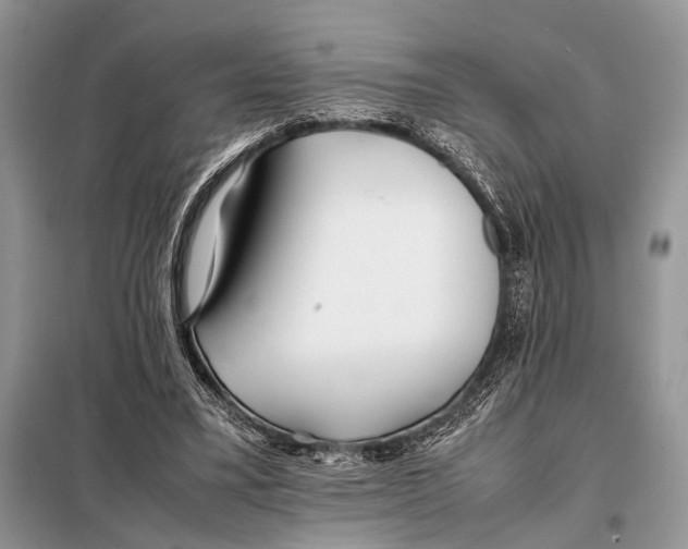 X0000098080395200805021026