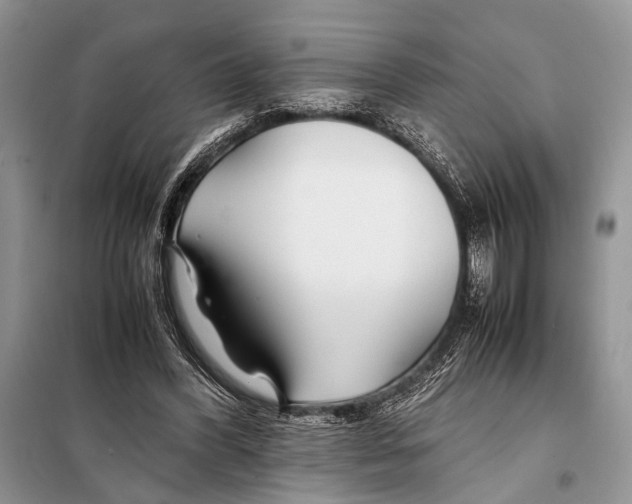 X0000098080396200805021026