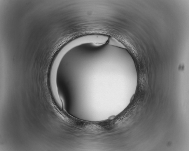 X0000098080397200805021026