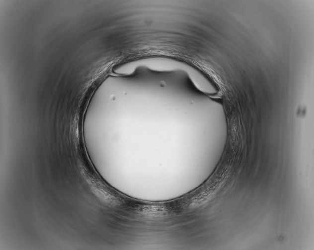 X0000098080398200805021026