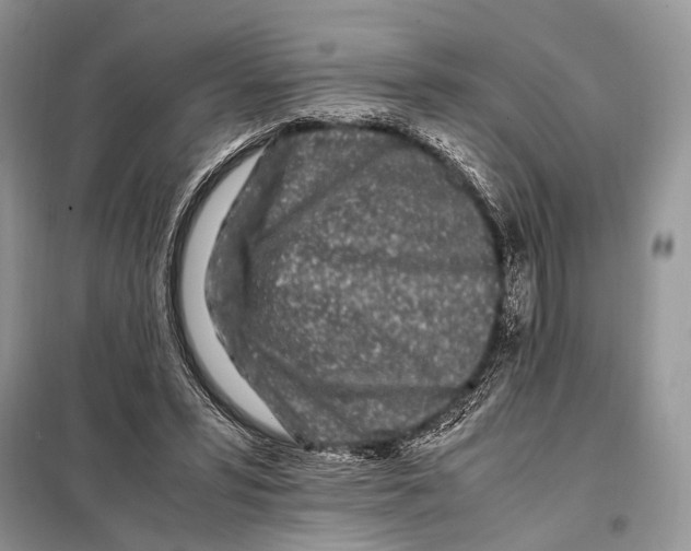 X0000098080399200805021026