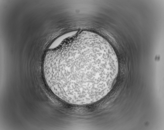 X0000098080401200805021026
