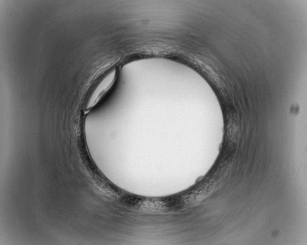 X0000098080403200805021026