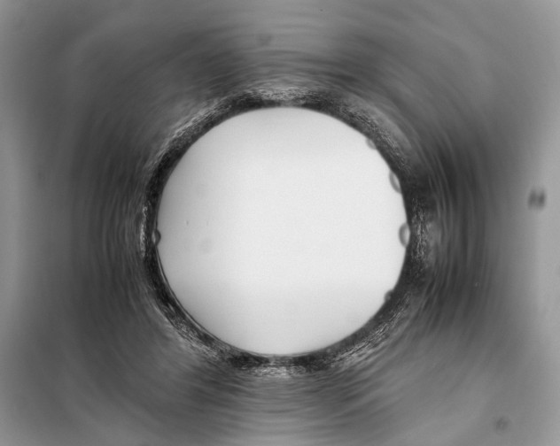 X0000098080404200805021026