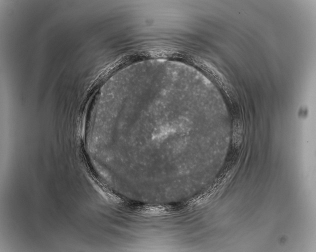 X0000098080405200805021026