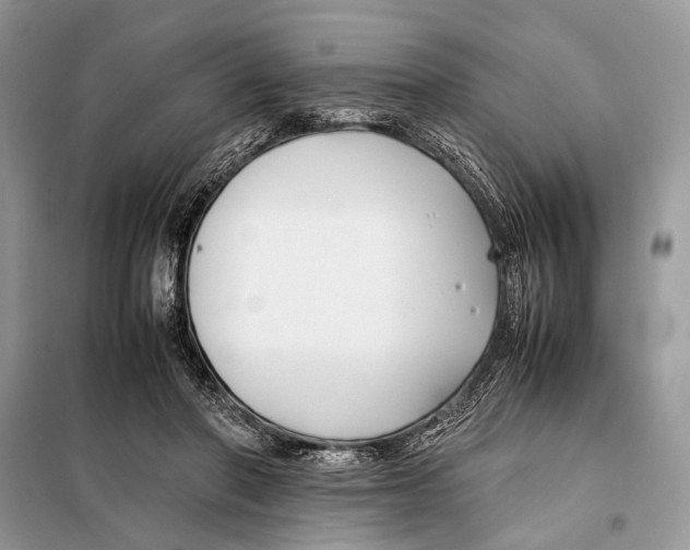 X0000098080406200805021026