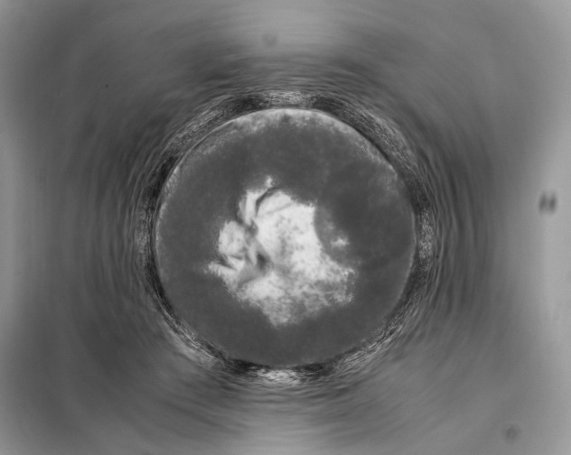 X0000098080409200805021026