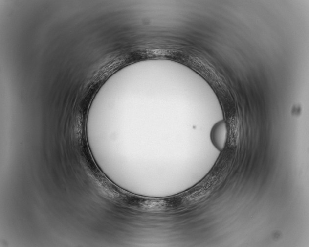 X0000098080410200805021026