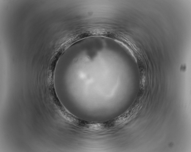 X0000098080411200805021026