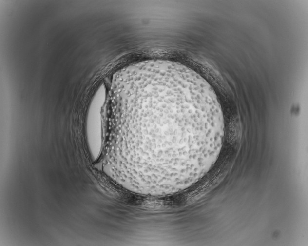 X0000098080413200805021026