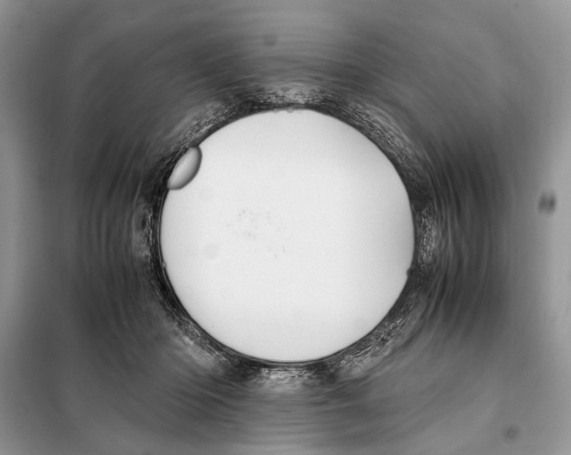 X0000098080414200805021026