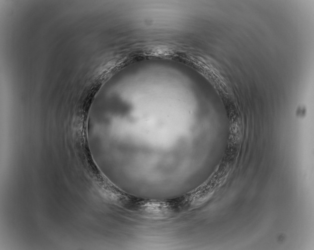 X0000098080415200805021026