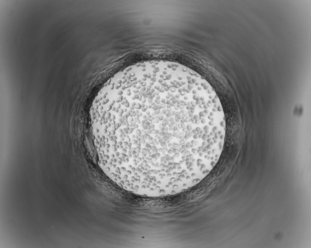 X0000098080417200805021026