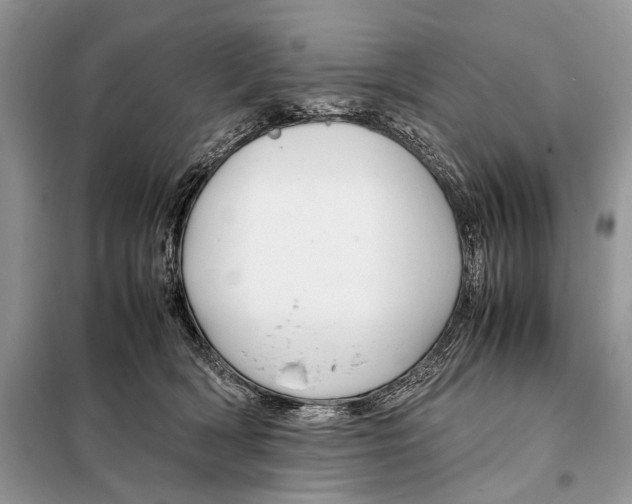 X0000098080418200805021026