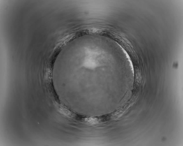 X0000098080419200805021026