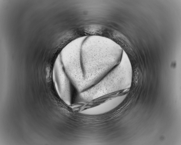 X0000098080420200805021026