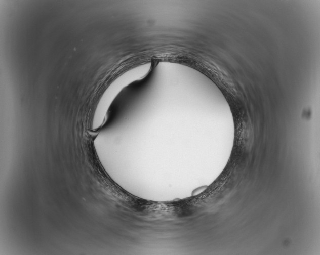 X0000098080421200805021026