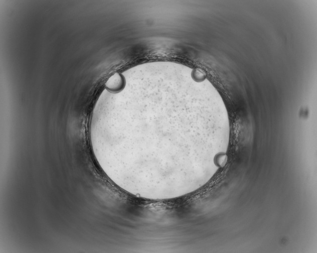 X0000098080423200805021026