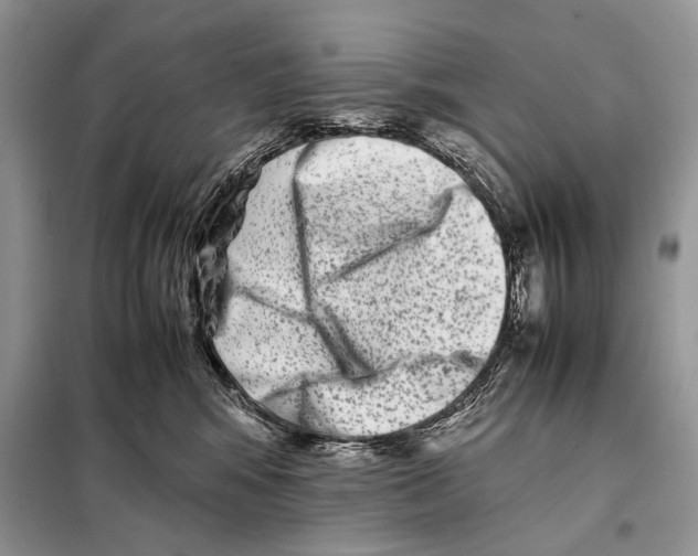 X0000098080424200805021026