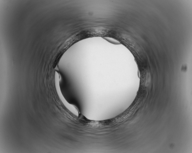 X0000098080425200805021026