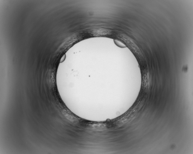 X0000098080426200805021026
