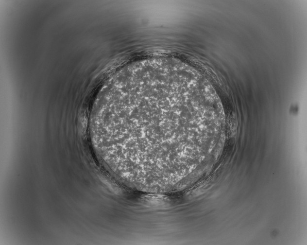 X0000098080427200805021026