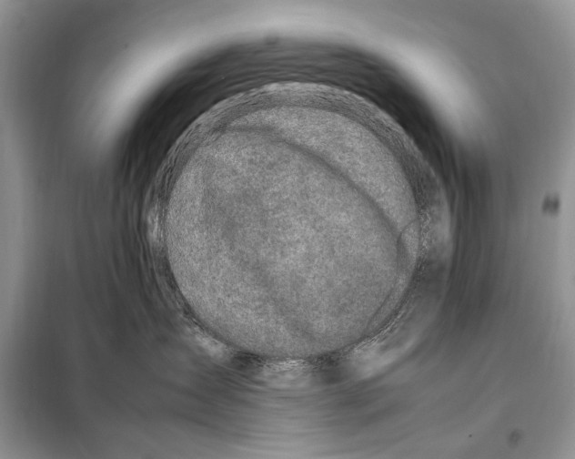 X0000098080431200805021026