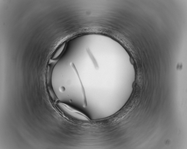 X0000098080434200805021025