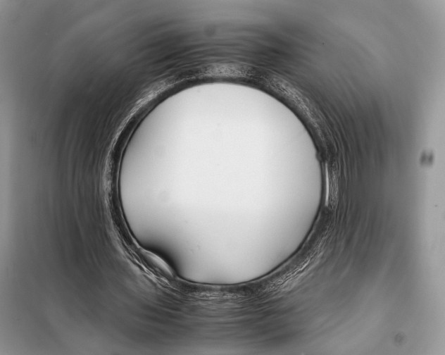 X0000098080435200805021025