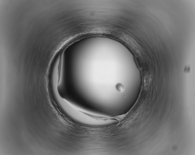 X0000098080436200805021025